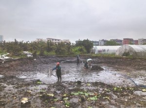 图们河道鱼塘清淤